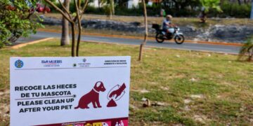 Gobierno de Isla Mujeres impulsa campaña de concientización sobre tenencia responsable de mascotas