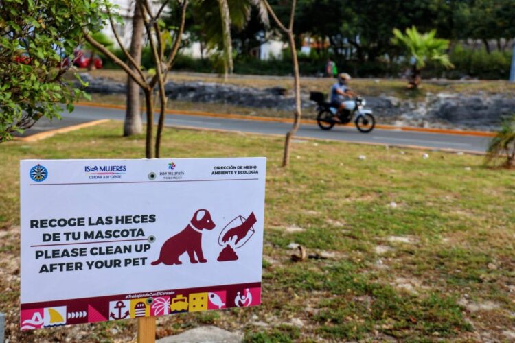 Gobierno de Isla Mujeres impulsa campaña de concientización sobre tenencia responsable de mascotas