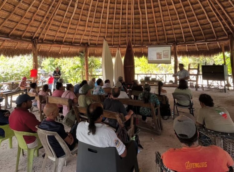 Capacitan a apicultores de Playa del Carmen para mejorar producción y calidad de miel