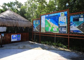 Mantiene Gobierno de Playa del Carmen estándares de calidad en las playas Blue Flag