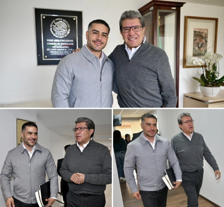 Analizarán diputados y Harfuch analizarán iniciativas presidenciales sobre seguridad pública