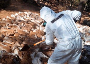 Fuerzas federales desmantelan laboratorios clandestinos en Zacatecas