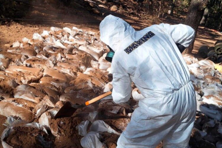 Fuerzas federales desmantelan laboratorios clandestinos en Zacatecas