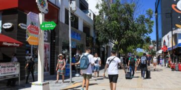 Con equipamiento urbano y vistosa señalética, Estefanía Mercado le cambia el rostro a la Quinta Avenida 