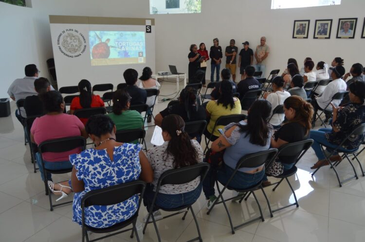 Capacitan a personal del ayuntamiento de Playa del Carmen en materia de conservación de la tortuga marina