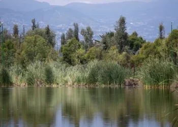 Corresponde a la Sedatu revisar investigación sobre Registro Nacional Agrario, señala Claudia Sheinbaum