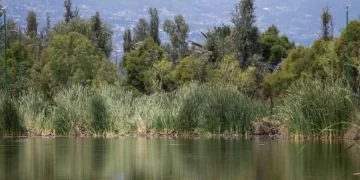 Corresponde a la Sedatu revisar investigación sobre Registro Nacional Agrario, señala Claudia Sheinbaum