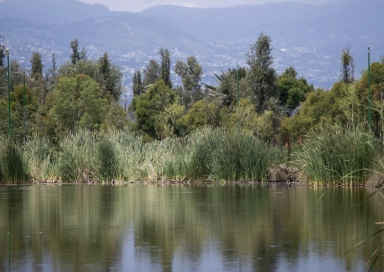 En manos de sólo 36 personas están más de 39 mil hectáreas de ejidos