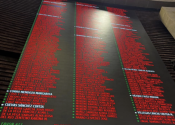 Aprueba Congreso en lo general ley contra nepotismo electoral para 2030