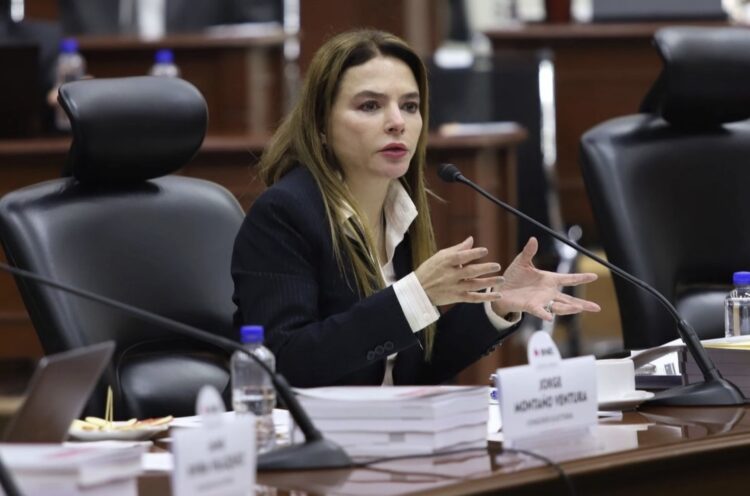 INE aplicará "modelo de riesgo" para detectar candidaturas con presuntos nexos criminales