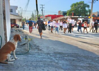 Realizan caminata por los derechos de los animales en Puerto Morelos
