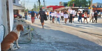 Realizan caminata por los derechos de los animales en Puerto Morelos