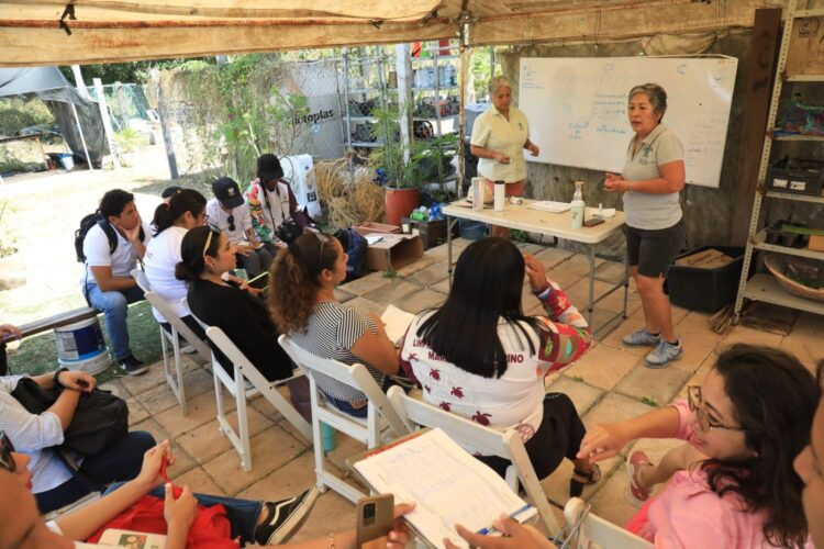 Gobierno de Playa del Carmen impulsa proyecto de Huertos Urbanos