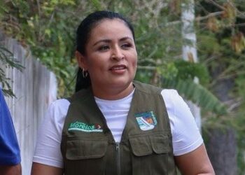 Mantenimiento de infraestructura de servicios, prioridad en Puerto Morelos: Blanca Merari