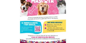 Gobierno de Isla Mujeres invita a familias a sumarse al Padrón Municipal de Mascotas