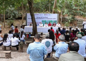 Entrega Conanp “Certificado de Área Destinada Voluntariamente a la Conservación Yum Kaax” al Ejido Puerto Morelos