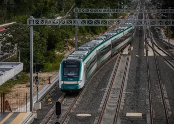 Proyecta la Semarnat restauración integral en ruta del Tren Maya