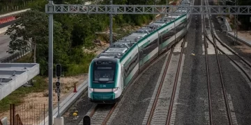 Proyecta la Semarnat restauración integral en ruta del Tren Maya