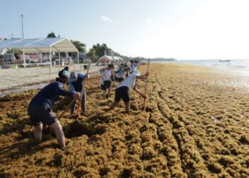 Mayuli Martínez presenta dos iniciativas para enfrentar la crisis del sargazo