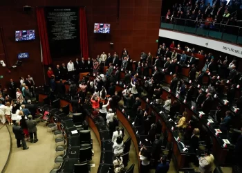 Observadores de la OEA en el Senado dicen, inédita la elección judicial