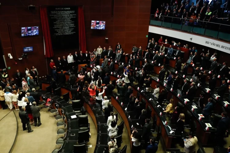 Observadores de la OEA en el Senado dicen, inédita la elección judicial