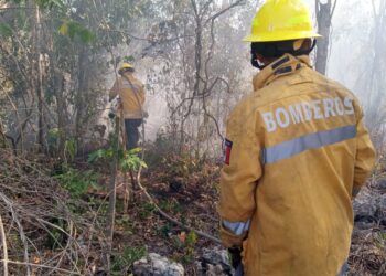 Incendio controlado en CTM y Lilis gracias a respuesta inmediata por el Gobierno de Playa del Carmen