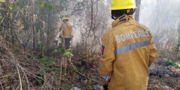 Incendio controlado en CTM y Lilis gracias a respuesta inmediata por el Gobierno de Playa del Carmen