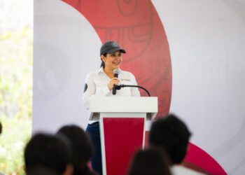 ¡La tala de mangle en Playa Mamitas es falsa! Estefanía Mercado confirma que no hay licencia de construcción en la zona