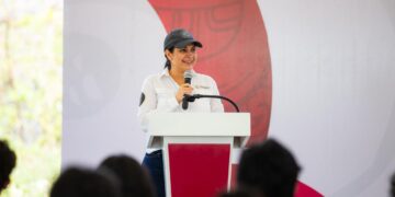 ¡La tala de mangle en Playa Mamitas es falsa! Estefanía Mercado confirma que no hay licencia de construcción en la zona