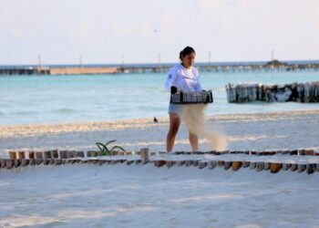 Se consolida Playa Norte como orgullo de Isla Mujeres con acciones de limpieza y reconocimiento internacional
