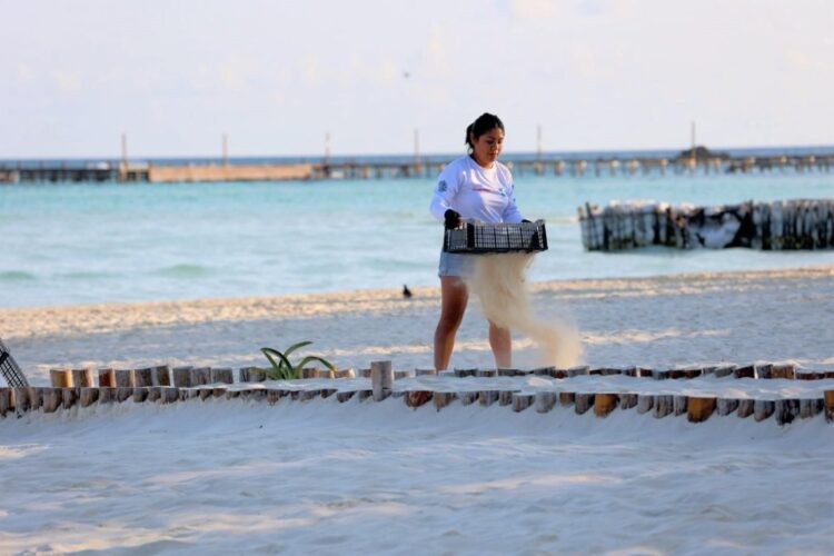 Se consolida Playa Norte como orgullo de Isla Mujeres con acciones de limpieza y reconocimiento internacional