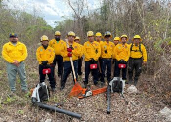 Blanca Merari: Con ardua labor, Protección Civil protege en Puerto Morelos la vida humana y la biodiversidad
