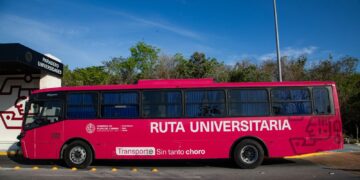 Anuncia Estefanía Mercado Ruta Universitaria gratuita para estudiantes de Playa del Carmen