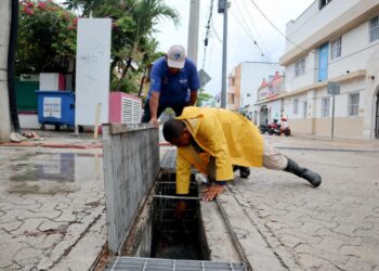 Refuerza Gobierno de Isla Mujeres acciones preventivas ante frente frío 42 en Isla Mujeres