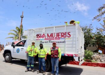 Fortalece Gobierno de Isla Mujeres el Programa Permanente de Descacharrización