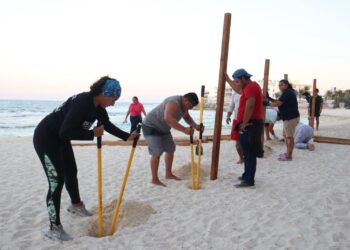Fortalece Gobierno de Isla Mujeres acciones para protección de nidos de tortuga marina