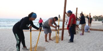 Fortalece Gobierno de Isla Mujeres acciones para protección de nidos de tortuga marina