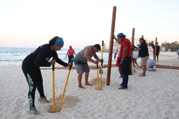 Fortalece Gobierno de Isla Mujeres acciones para protección de nidos de tortuga marina