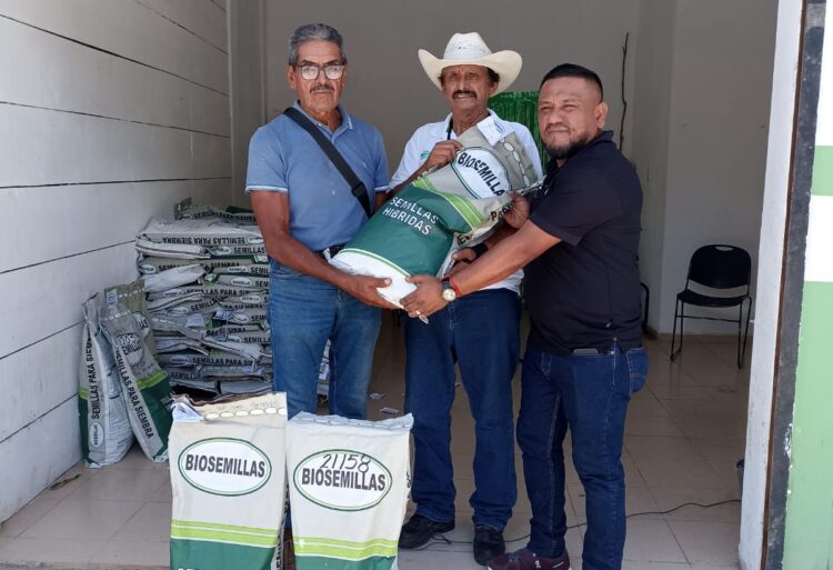 Benefician a agricultores de Puerto Morelos