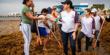 Lanza Estefanía Mercado el “Reto Sargazo” y convoca ciudadanía a sumarse a limpieza de playas