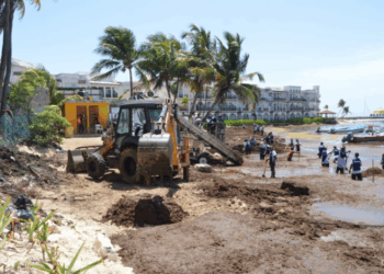 Más de 8 mil toneladas de sargazo son retiradas de las playas de Playa del Carmen