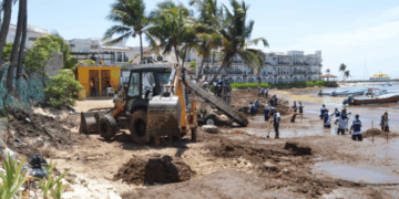 Más de 8 mil toneladas de sargazo son retiradas de las playas de Playa del Carmen
