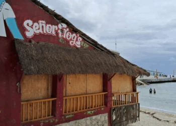 En proceso de demolición, antiguo Sr. Frog’s de Playa del Carmen