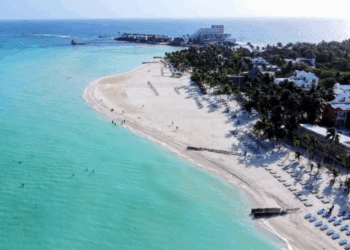 Lucen playas de Isla Mujeres limpias, ordenadas y libres de sargazo
