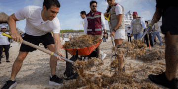 Gino Segura se une a jornada de limpieza de sargazo