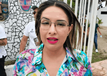 Diputada propone contratar ministerios públicos especializados en bienestar animal