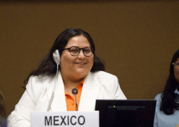 ONG: México recurre a evasiones y triunfalismo mientras persiste la violencia contra la mujer