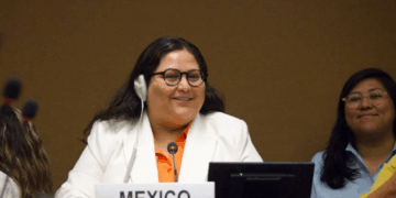 ONG: México recurre a evasiones y triunfalismo mientras persiste la violencia contra la mujer