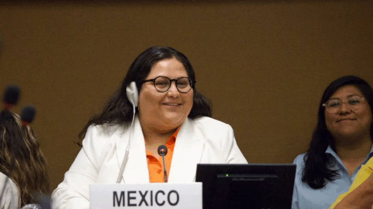 ONG: México recurre a evasiones y triunfalismo mientras persiste la violencia contra la mujer