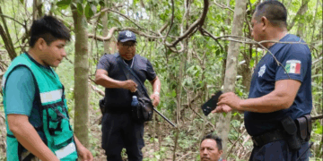 Hombre pasa 24 horas perdido en la selva por seguir un venado